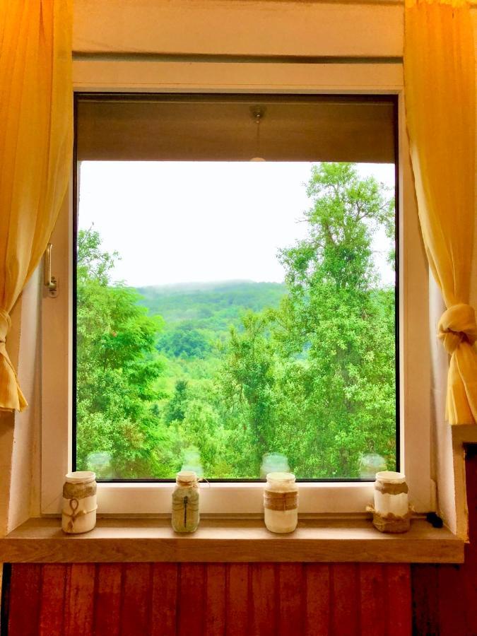 Guesthouse D&D Licko Petrovo Selo Екстер'єр фото