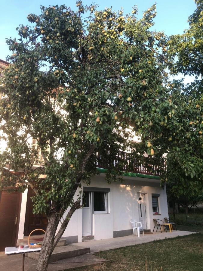 Guesthouse D&D Licko Petrovo Selo Екстер'єр фото