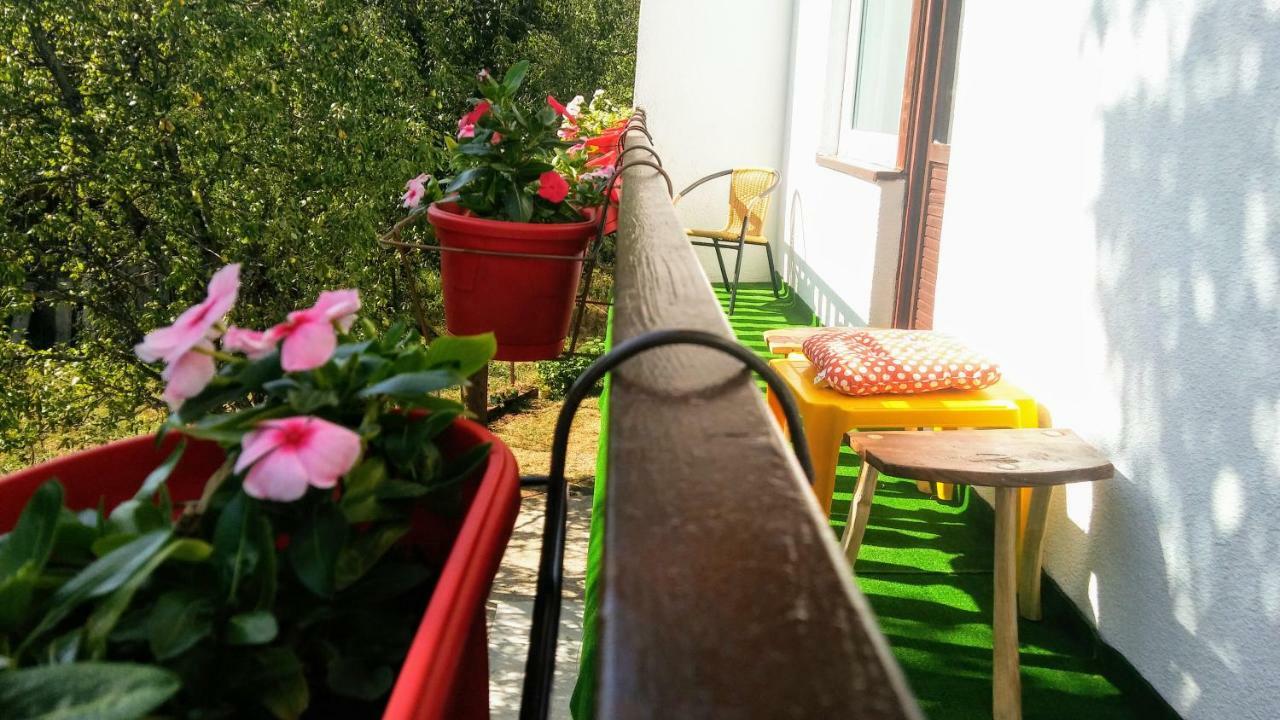Guesthouse D&D Licko Petrovo Selo Екстер'єр фото